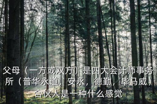 父母（一方或雙方）是四大會計師事務(wù)所（普華永道，安永，德勤，畢馬威）合伙人是一種什么感覺