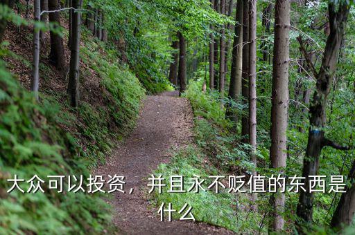 大眾可以投資，并且永不貶值的東西是什么
