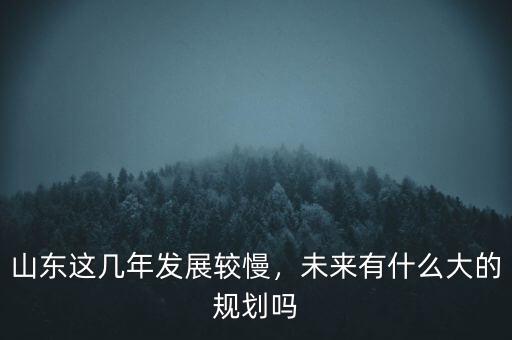 山東這幾年發(fā)展較慢，未來有什么大的規(guī)劃嗎