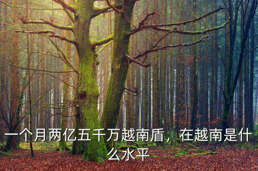 一個月兩億五千萬越南盾，在越南是什么水平
