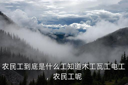 農(nóng)民工到底是什么工知道木工瓦工電工，農(nóng)民工呢