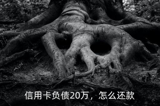 信用卡負(fù)債20萬(wàn)，怎么還款