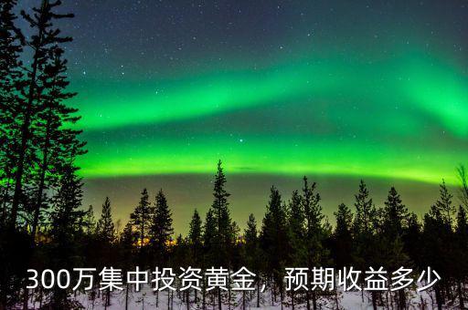 300萬集中投資黃金，預(yù)期收益多少