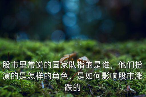 股市中的國(guó)家隊(duì)指什么,股市里常說的國(guó)家隊(duì)指的是誰(shuí)