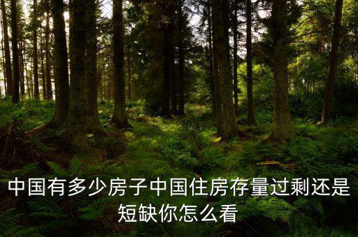 中國(guó)有多少房子中國(guó)住房存量過剩還是短缺你怎么看