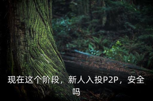 現(xiàn)在這個階段，新人入投P2P，安全嗎