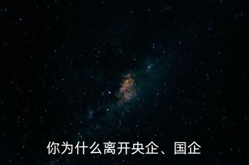 你為什么離開央企、國企