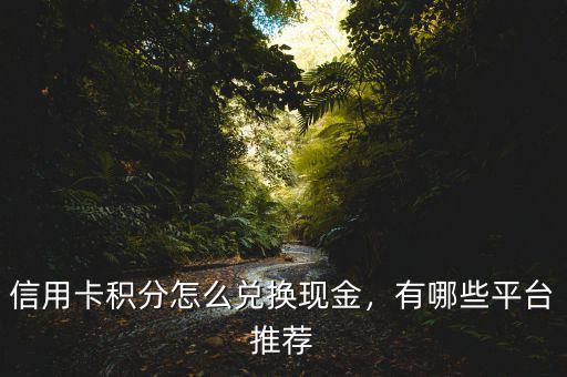 信用卡積分怎么兌換現(xiàn)金，有哪些平臺推薦