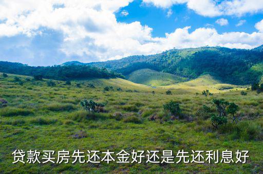 貸款買(mǎi)房先還本金好還是先還利息好