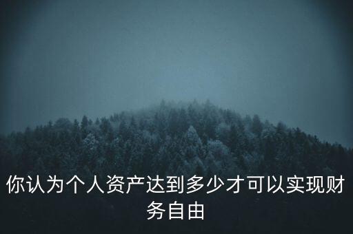 你認為個人資產(chǎn)達到多少才可以實現(xiàn)財務(wù)自由