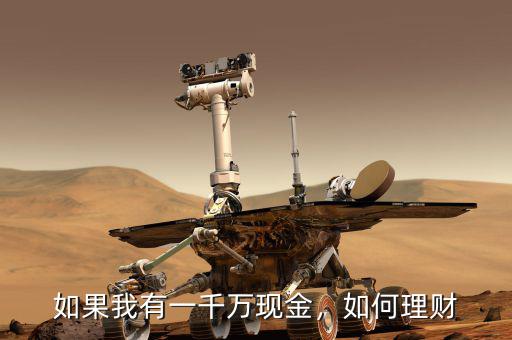 如果我有一千萬現(xiàn)金，如何理財(cái)