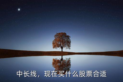 中長線，現(xiàn)在買什么股票合適