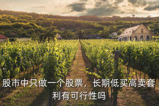 股市中只做一個股票，長期低買高賣套利有可行性嗎