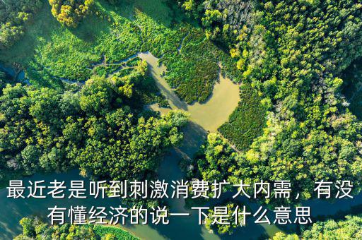最近老是聽到刺激消費擴大內(nèi)需，有沒有懂經(jīng)濟的說一下是什么意思