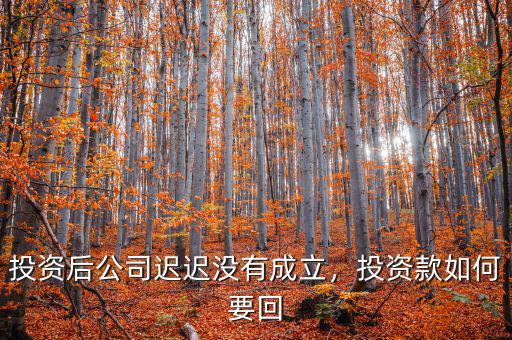 投資后公司遲遲沒(méi)有成立，投資款如何要回