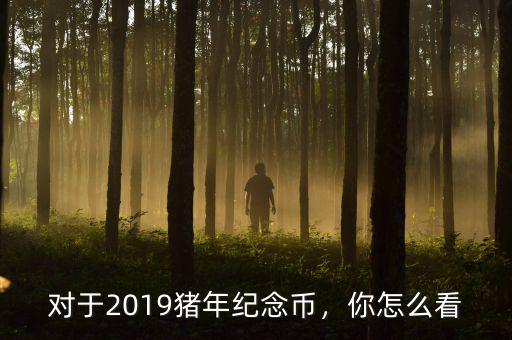 對于2019豬年紀(jì)念幣，你怎么看