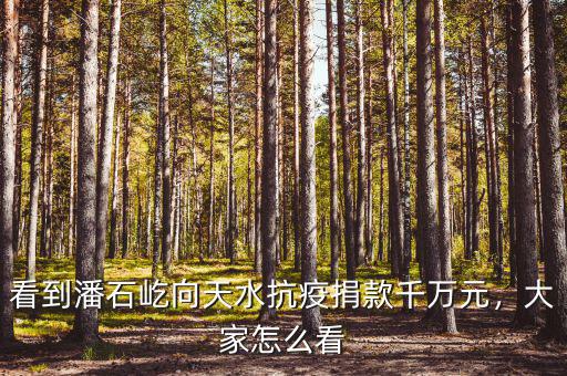 看到潘石屹向天水抗疫捐款千萬(wàn)元，大家怎么看