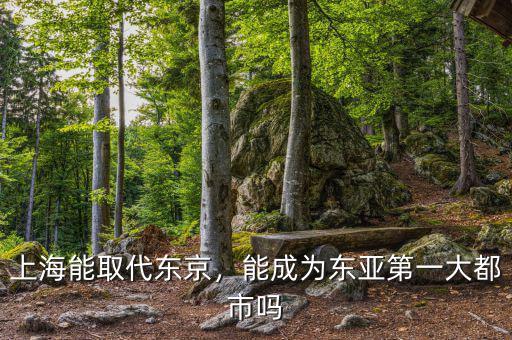 上海能取代東京，能成為東亞第一大都市嗎