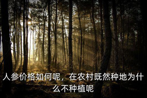 人參價格如何呢，在農(nóng)村既然種地為什么不種植呢