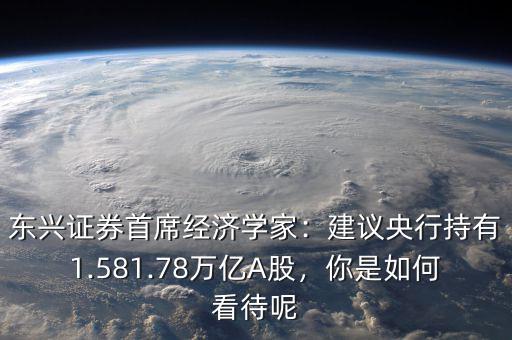 東興證券首席經(jīng)濟(jì)學(xué)家：建議央行持有1.581.78萬億A股，你是如何看待呢