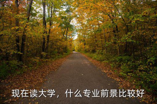 現(xiàn)在讀大學(xué)，什么專業(yè)前景比較好