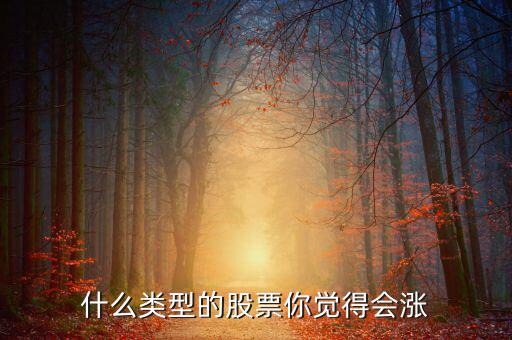 什么類型的股票你覺得會(huì)漲