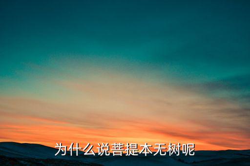 禪宗為什么沒(méi)有七祖,為什么說(shuō)菩提本無(wú)樹(shù)呢