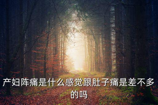 產婦陣痛是什么感覺跟肚子痛是差不多的嗎