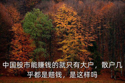 中國股市能賺錢的就只有大戶，散戶幾乎都是賠錢，是這樣嗎
