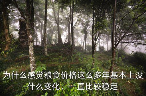 為什么感覺糧食價格這么多年基本上沒什么變化，一直比較穩(wěn)定