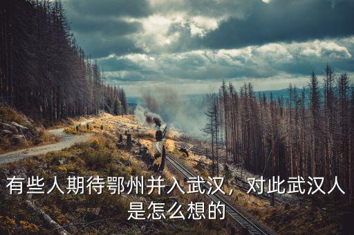 有些人期待鄂州并入武漢，對(duì)此武漢人是怎么想的