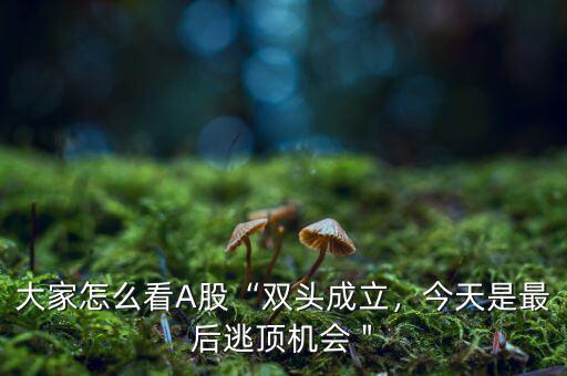 大家怎么看A股“雙頭成立，今天是最后逃頂機(jī)會(huì)＂