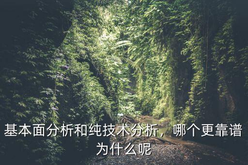 基本面分析和純技術(shù)分析，哪個(gè)更靠譜為什么呢