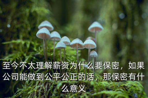 至今不太理解薪資為什么要保密，如果公司能做到公平公正的話，那保密有什么意義