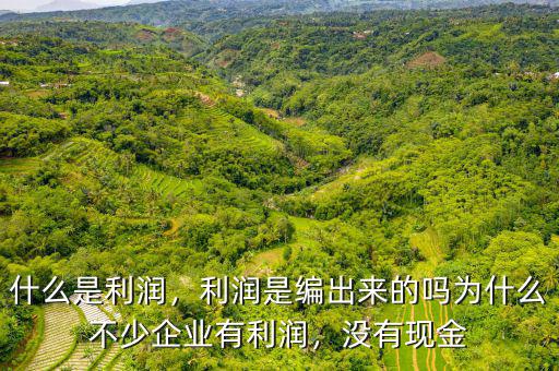 什么是利潤，利潤是編出來的嗎為什么不少企業(yè)有利潤，沒有現(xiàn)金
