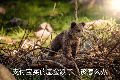 支付寶買(mǎi)的基金跌了，該怎么辦