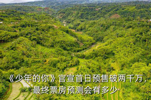 《少年的你》官宣首日預(yù)售破兩千萬(wàn)，最終票房預(yù)測(cè)會(huì)有多少