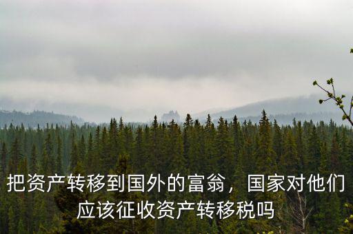 中國有多少富翁把資產(chǎn)轉移到國外,許家印有沒有轉移資產(chǎn)去國外