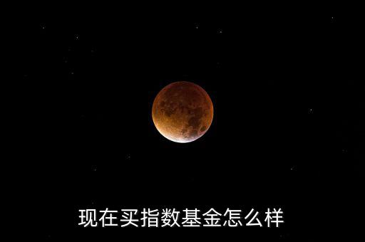 現(xiàn)在買(mǎi)指數(shù)基金怎么樣