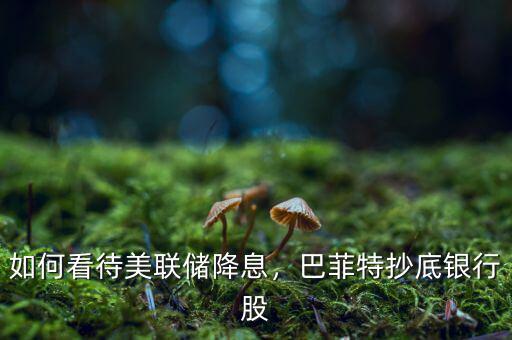 如何看待美聯(lián)儲(chǔ)降息，巴菲特抄底銀行股