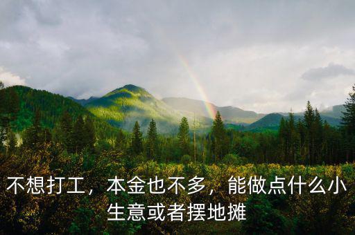 不想打工，本金也不多，能做點什么小生意或者擺地攤