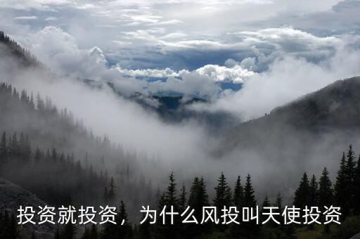 投資就投資，為什么風(fēng)投叫天使投資