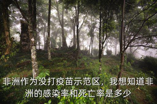非洲作為沒(méi)打疫苗示范區(qū)，我想知道非洲的感染率和死亡率是多少
