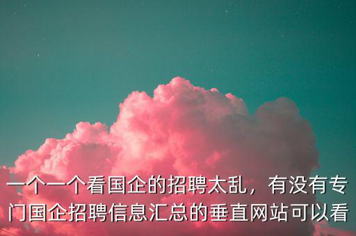 一個(gè)一個(gè)看國(guó)企的招聘太亂，有沒有專門國(guó)企招聘信息匯總的垂直網(wǎng)站可以看