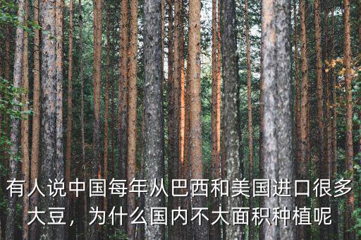 有人說中國每年從巴西和美國進口很多大豆，為什么國內(nèi)不大面積種植呢