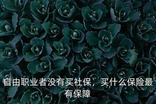 自由職業(yè)者沒有買社保，買什么保險(xiǎn)最有保障