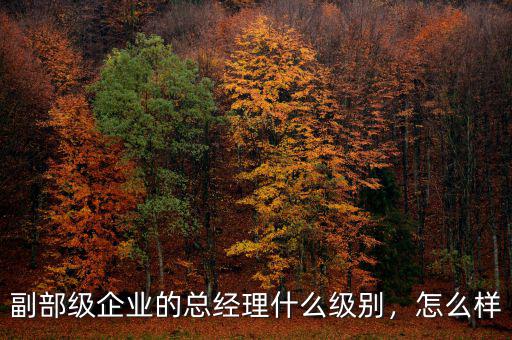 副部級企業(yè)的總經(jīng)理什么級別，怎么樣