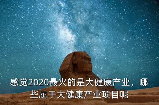 感覺(jué)2020最火的是大健康產(chǎn)業(yè)，哪些屬于大健康產(chǎn)業(yè)項(xiàng)目呢