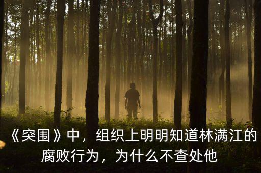 《突圍》中，組織上明明知道林滿江的腐敗行為，為什么不查處他