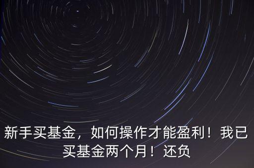 新手買(mǎi)基金，如何操作才能盈利！我已買(mǎi)基金兩個(gè)月！還負(fù)